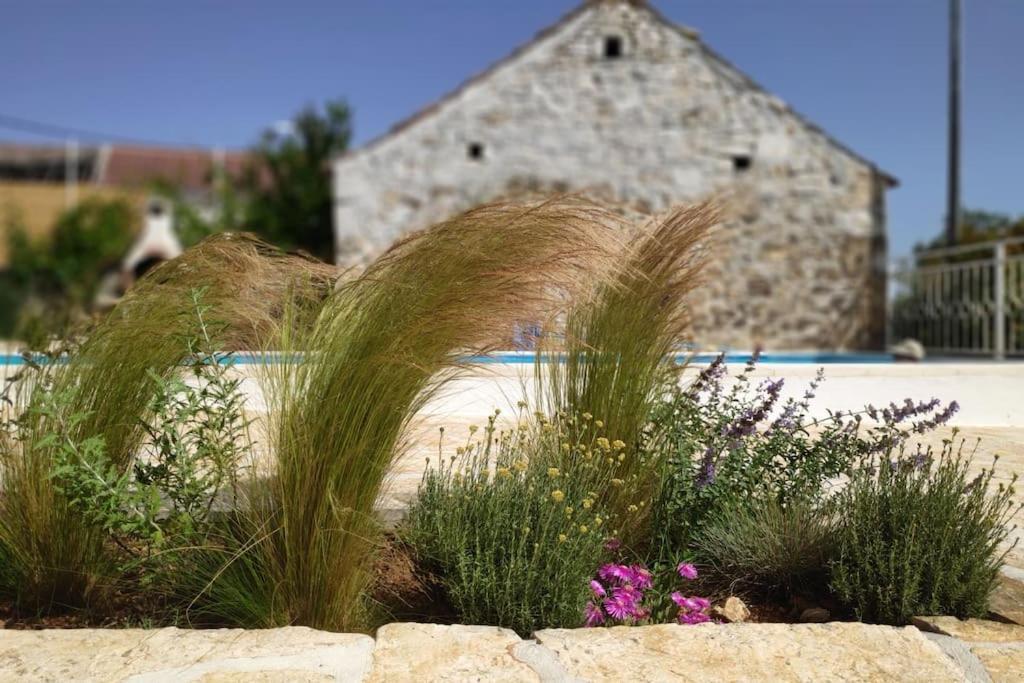 Stone House Kula Milica Villa Mala Cista Bagian luar foto